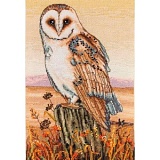 Купить недорого   Набор для вышивания Anchor "Owl Horizon" 23*16см, MEZ Венгрия, PCE604  в интернет магазине Фэмили хобби